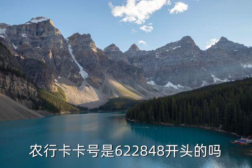 農(nóng)業(yè)銀行什么開頭的，農(nóng)行卡卡號是622848開頭的嗎