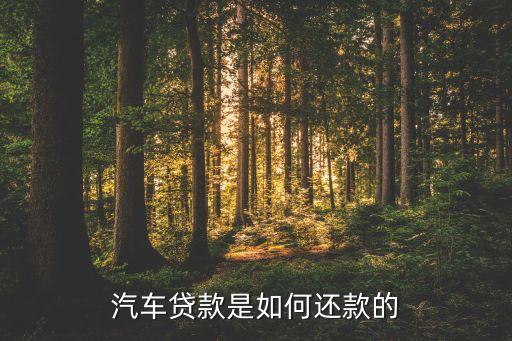 貸款買車用什么還，貸款買車還款方式有哪些