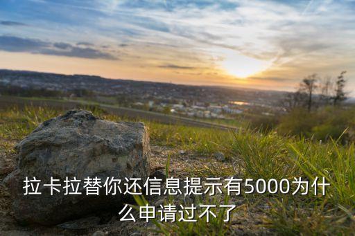 拉卡拉替你還信息提示有5000為什么申請過不了