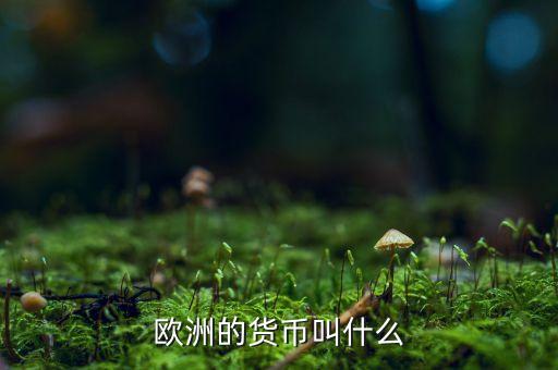 什么是歐洲貨幣，什么是歐洲貨幣呀