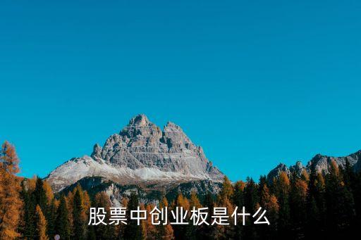 股票中創(chuàng)業(yè)板是什么