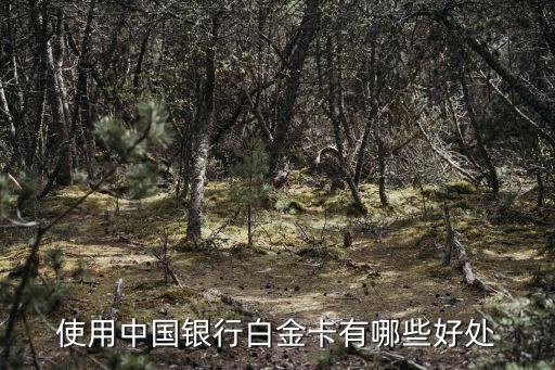 使用中國(guó)銀行白金卡有哪些好處