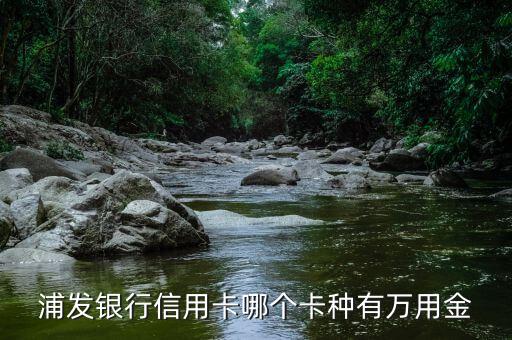 浦發(fā)銀行信用卡哪個(gè)卡種有萬用金