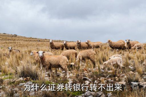 為什么證券轉(zhuǎn)銀行轉(zhuǎn)不出來