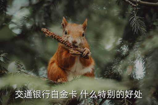 交通銀行白金卡 什么特別的好處