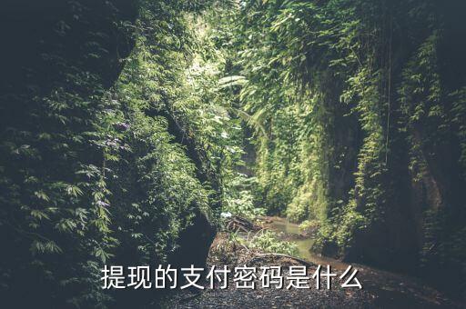 取現(xiàn)密碼是什么，什么是取現(xiàn)密碼