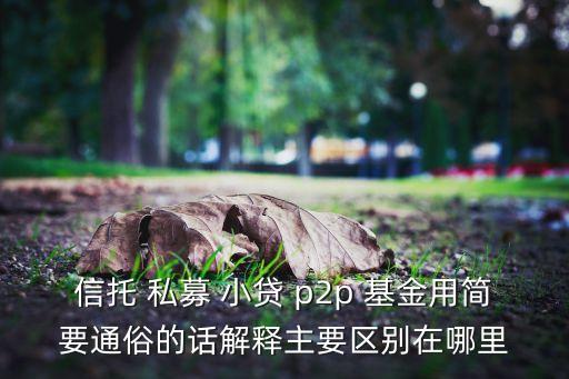 貸放基金什么意思，什么是國(guó)際投貸基金最好通俗點(diǎn)解釋謝謝