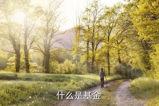 基金是什么意思，什么是基金