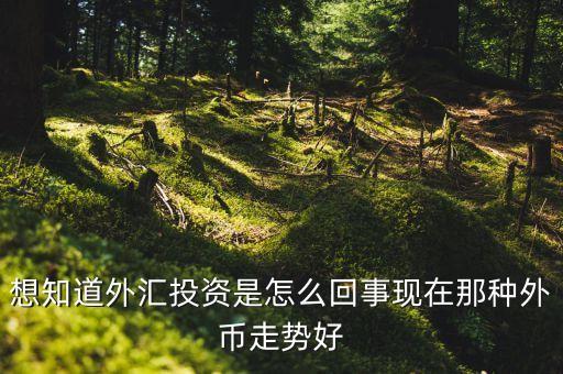 想知道外匯投資是怎么回事現(xiàn)在那種外幣走勢好