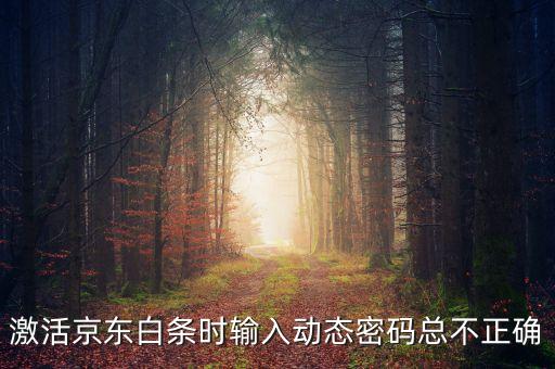 激活京東白條時輸入動態(tài)密碼總不正確