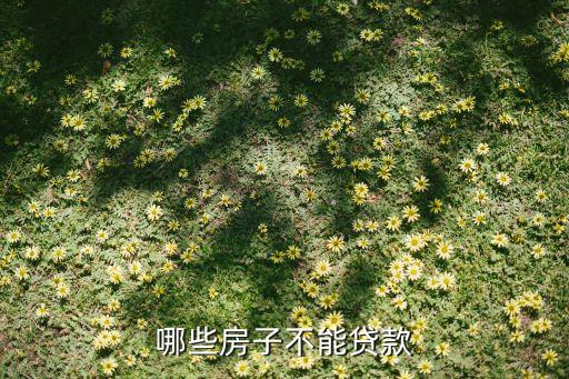 什么房屋不能貸款嗎，哪些房產(chǎn)不符合辦理房屋抵押貸款的條件