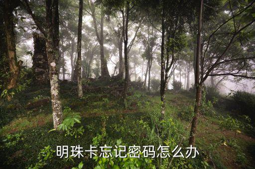 明珠卡密碼忘了怎么辦，明珠卡忘記密碼怎么辦