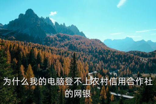 為什么我的電腦登不上農(nóng)村信用合作社的網(wǎng)銀