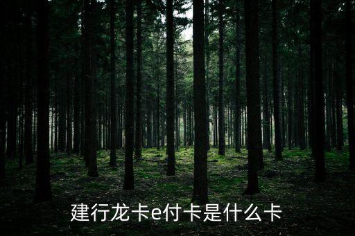 建行的龍支付是什么卡，建設銀行龍卡全球支付信用卡是普卡還是金卡