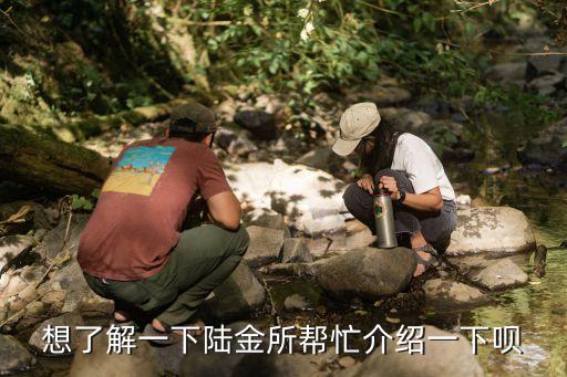 平安陸金所是個(gè)什么，問(wèn)一下陸金所是干嘛用的啊
