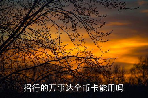 招行的萬(wàn)事達(dá)全幣卡能用嗎