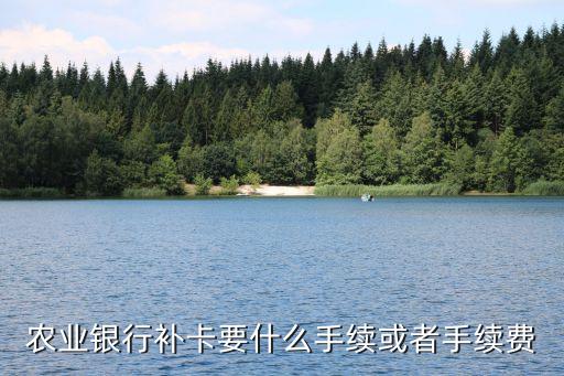 補辦農(nóng)行卡要什么手續(xù)費，農(nóng)業(yè)銀行掛失和辦卡的手續(xù)費是多少