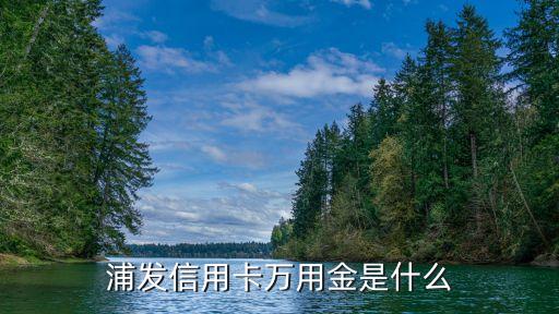 浦發(fā)信用卡萬用金是什么