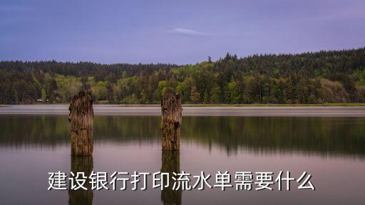 到銀行打流水需要什么，去銀行打流水需要帶什么