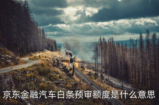 京東金融汽車(chē)白條預(yù)審額度是什么意思