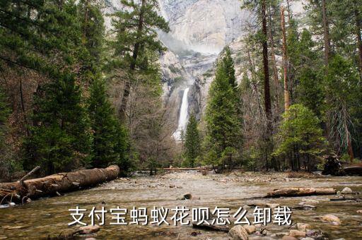 什么東西可以去除螞蟻花唄，怎么能退出螞蟻花唄