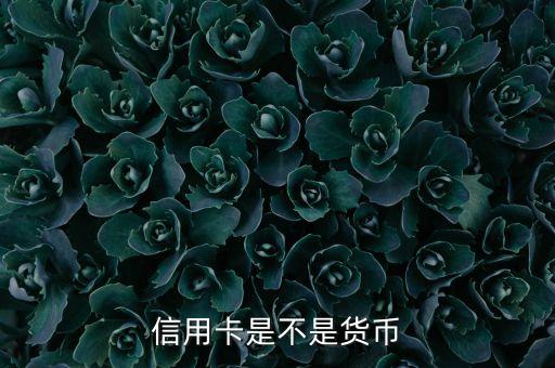 信用卡是不是貨幣