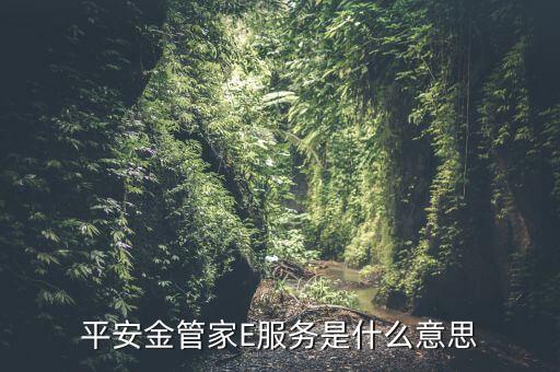 平安金管家E服務(wù)是什么意思