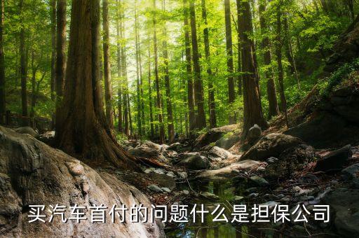 什么是車貸擔(dān)保公司，什么是擔(dān)保貸款公司