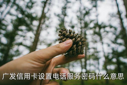 廣發(fā)銀行的服務密碼是什么情況，廣發(fā)銀行信用卡電話服務密碼干什么用