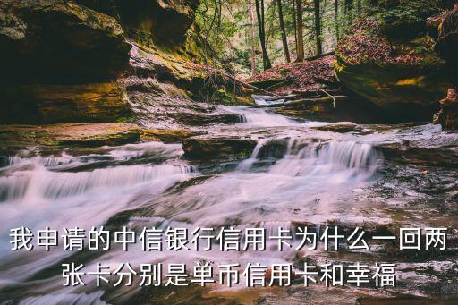 中信幸福財富是什么卡，誰知道這個是中信的什么卡