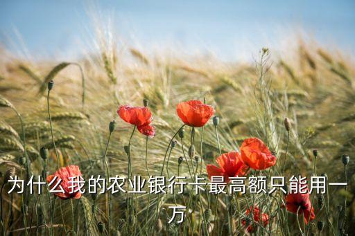 農(nóng)行限額1萬什么意思，本卡轉(zhuǎn)賬額度10000是什么意思