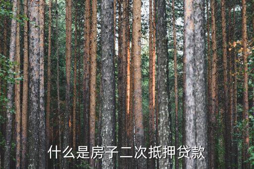 什么是房產(chǎn)二次抵押貸款，什么是房子二次抵押貸款