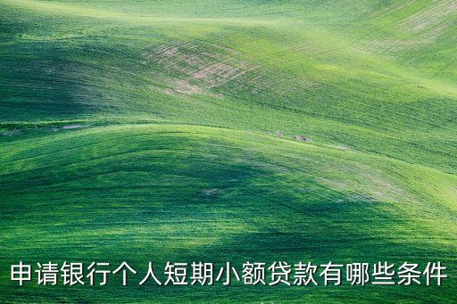 我短期必須具備的條件是什么，銀行個(gè)人短期小額貸款申請人有什么條件