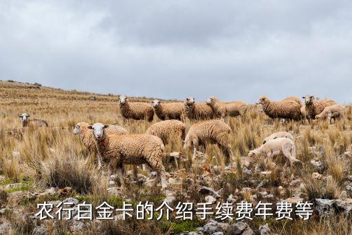 農(nóng)行白金卡什么樣子，農(nóng)商銀行白金卡是什么樣子的有人見過嗎