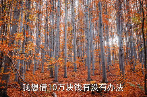 51閃電貸是什么軟件，急急急急用錢