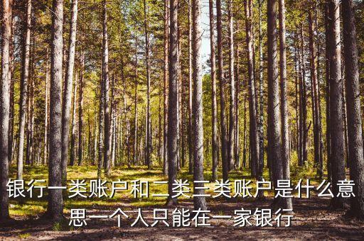 銀行一類賬戶和二類三類賬戶是什么意思一個(gè)人只能在一家銀行