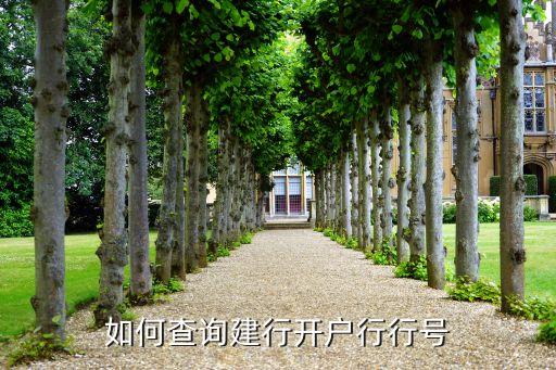 建行開戶行號怎么查詢，怎樣查建行卡的開戶行