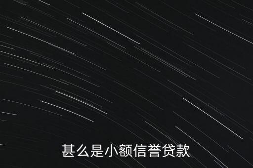 甚么是小額信譽(yù)貸款