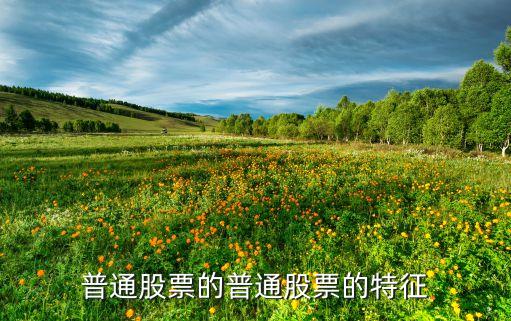 普通股票的普通股票的特征