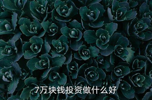 7萬塊錢投資做什么好