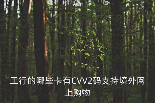 工行的哪些卡有CVV2碼支持境外網(wǎng)上購物