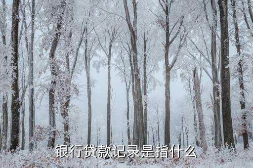 銀行貸款記錄是指什么