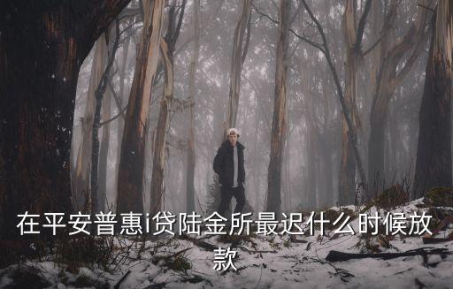 在平安普惠i貸陸金所最遲什么時(shí)候放款
