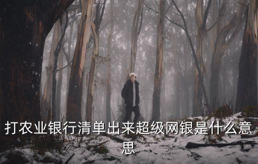 打農(nóng)業(yè)銀行清單出來(lái)超級(jí)網(wǎng)銀是什么意思