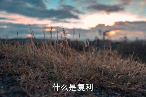什么是復(fù)利
