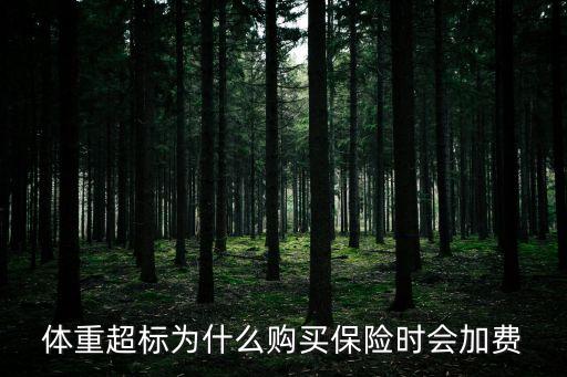 體重超標(biāo)為什么購(gòu)買(mǎi)保險(xiǎn)時(shí)會(huì)加費(fèi)