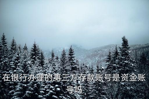 在銀行辦理的第三方存款賬號是資金賬號嗎