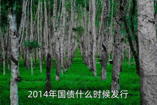 2014年什么時候有國債買，2014年國債什么時候發(fā)行