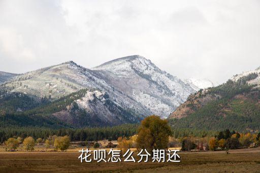 花唄怎么分期還