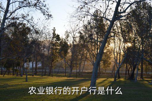 農(nóng)行開戶行是什么，的農(nóng)行卡的開戶銀行具體叫啥